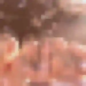 Adeline (29 ans) à Saint-Pierre-du-Regard cherche une rencontre aujourd'hui