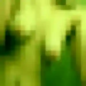 Photo de Morenike à Saint-Pierre-le-Moûtier (32 ans) - plan cul gratuit