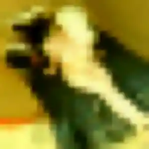Profil de Aissatou à Saint-Priest-Bramefant (30 ans) - plan cul gratuit