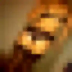 Photo exclusive de Zineb, 34 ans à Saint-Quay-Portrieux - rencontre coquine