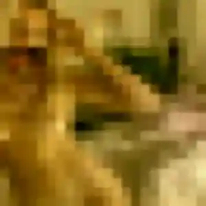 Tessa (31 ans) à Saint-Rémy-Boscrocourt cherche une rencontre ce soir