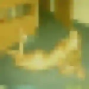 Sexy Leïla, 29 ans à Saint-Symphorien-de-Lay - la contacter