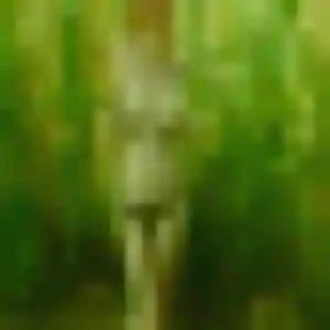 Photo privée de Mame, 31 ans à Saint-Victor-de-Cessieu - plan discret