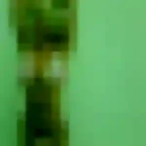 Muthoni de Sainte-Croix-en-Plaine, 42 ans - plan cul discret