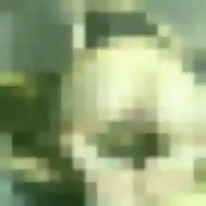 Kimberley, femme de 43 ans cherche plan cul à Sainte-Féréole
