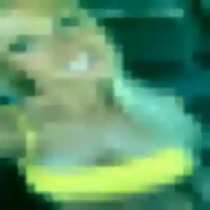 Linda, fille de 37 ans cherche plan cul à Sainte-Marie-Kerque