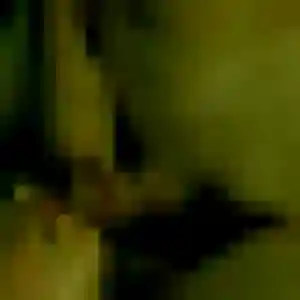 Profil de Sandrine à Sainte-Nathalène (23 ans) - plan cul anonyme