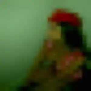 Anaïs, 26 ans, cherche un plan cul à Sainte-Pazanne