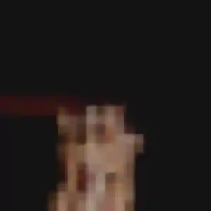 Profil de Déborah à Sarcey (25 ans) - plan cul anonyme