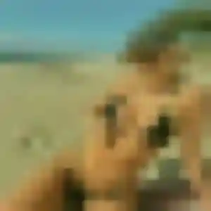 Profil de Marina à Saurat (32 ans) - plan cul gratuit