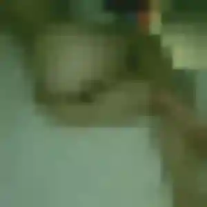Photo perso de Amandine, 42 ans à Saussemesnil - rencontre sans lendemain