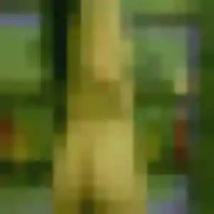 Photo de Fatoumata à Sauverny (26 ans) - plan cul anonyme