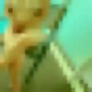 Photo exclusive de Aïcha, 26 ans à Sauzon - rencontre sans lendemain