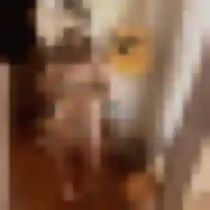 Mariama de Sceaux-sur-Huisne, 22 ans - plan cul sans prise de tête