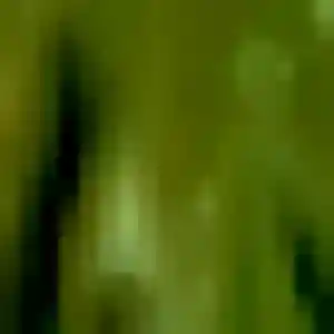 Profil de Rébecca à Scheibenhard (35 ans) - plan cul discret
