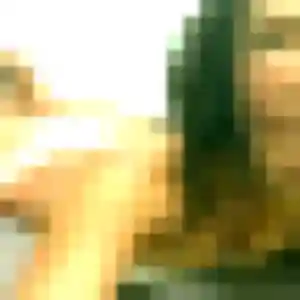 Photo de Yvette à Sées (44 ans) - plan cul anonyme