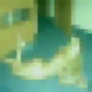 Profil de Stéphanie à Seichamps (32 ans) - plan cul gratuit
