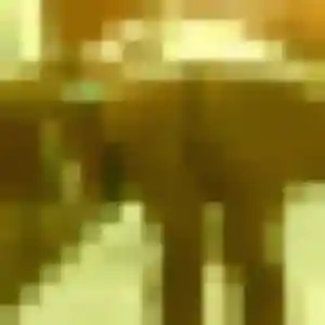 Profil de Touty à Seiches-sur-le-Loir (37 ans) - plan cul anonyme