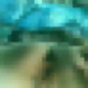 Adélaïde, 41 ans, dispo pour plan cul à Sémalens