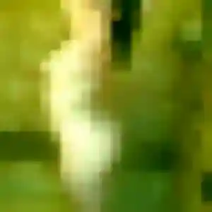 Photo privée de Miriam, 29 ans à Sennely - rencontre coquine