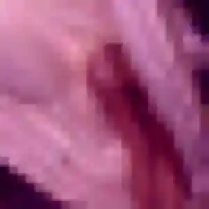 Naëlle, femme de 36 ans veut plan cul à Seraincourt