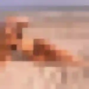 Photo perso de Émeline, 41 ans à Sernhac - rencontre coquine