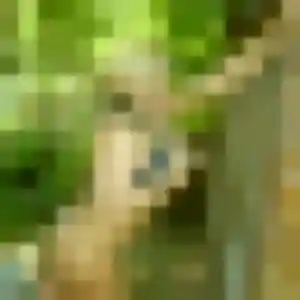 Amani de Servon-sur-Vilaine, 28 ans - plan cul discret