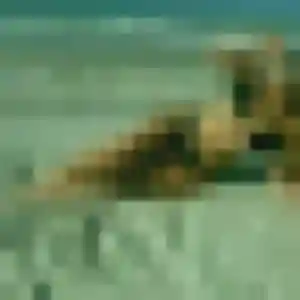 Profil de Valérie à Seurre (36 ans) - plan cul gratuit