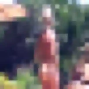 Nadia, 43 ans, cherche un plan cul à Seychalles