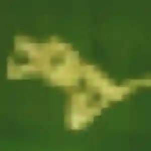Rencontre Yawa, 25 ans à Sigloy en t'inscrivant