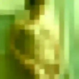 Nicole, 27 ans, disponible à Sigoulès-et-Flaugeac pour une rencontre coquine