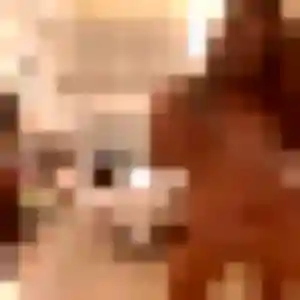 Solange, 26 ans, dispo pour plan cul à Soudan