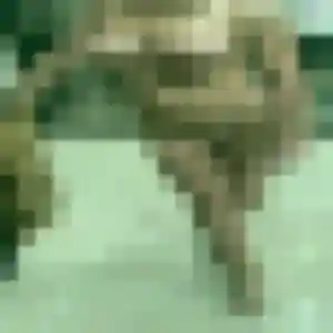 Dorothée, 25 ans, connectée à Soulaire-et-Bourg pour une rencontre coquine