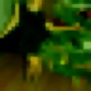 Profil de Yasmine à Soulaire-et-Bourg (26 ans) - plan cul gratuit