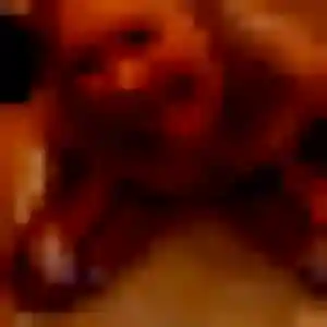 Photo exclusive de Oumou Kalsoum, 29 ans à Sourcieux-les-Mines - plan discret