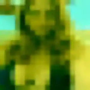 Photo perso de Seynabou, 44 ans à Soye-en-Septaine - rencontre coquine