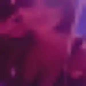 Sarah, femme de 39 ans veut plan cul à Squiffiec