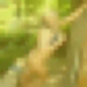 Photo exclusive de Félicité, 34 ans à Sucé-sur-Erdre - rencontre coquine