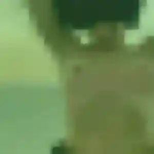 Yaa, 35 ans, disponible à Tanlay pour une rencontre coquine