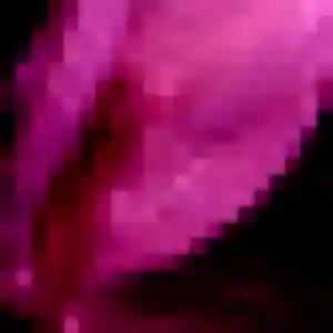 Photo de Njeri à Têche (41 ans) - plan cul sans inscription