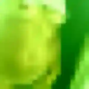 Photo sexy de Adjoua, 22 ans à Tencin - rencontre sans lendemain