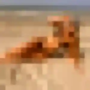 Photo sexy de Olufunmi, 44 ans à Terre-de-Bancalié - rencontre coquine