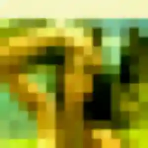 Photo exclusive de Dienaba, 44 ans à Tessy-Bocage - rencontre coquine