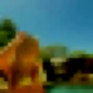 Photo de Kumba à Thorigné-d'Anjou (31 ans) - plan cul gratuit