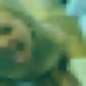 Photo privée de Saly, 42 ans à Thoury-Férottes - rencontre coquine
