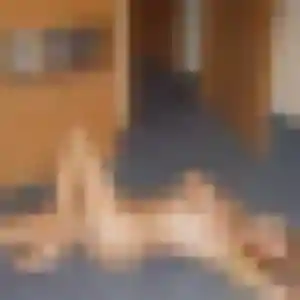 Téning, fille de 38 ans cherche plan cul à Tilloy-lez-Cambrai