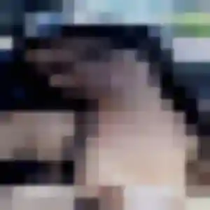 Photo de Priscilla à Tonnoy (22 ans) - plan cul gratuit
