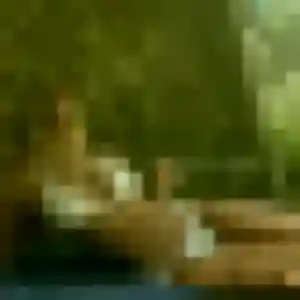 Photo perso de Ketsia, 35 ans à Touët-sur-Var - plan discret