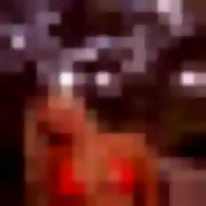 Adwoa, femme de 22 ans veut plan cul à Tourmignies