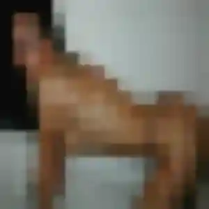 Njeri, 39 ans, dispo pour plan cul à Tourouvre au Perche